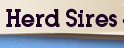 Herd Sires